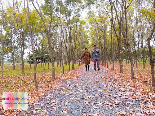 【屏東旅遊】潮州林後四林平地森林園區◆屏東免費森林好去處◆大片綠色森林遛小孩、放風箏、野餐、毛小孩放電好去處