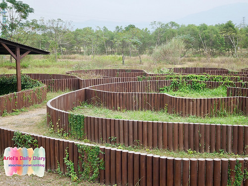 【屏東旅遊】潮州林後四林平地森林園區◆屏東免費森林好去處◆大片綠色森林遛小孩、放風箏、野餐、毛小孩放電好去處