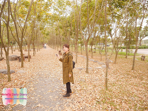 【屏東旅遊】潮州林後四林平地森林園區◆屏東免費森林好去處◆大片綠色森林遛小孩、放風箏、野餐、毛小孩放電好去處