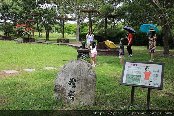 (34)林後泗林.JPG (34)林後泗林.JPG