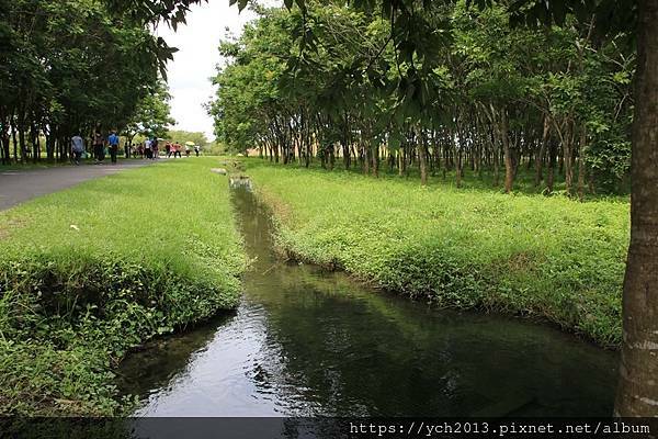 (15)林後泗林.JPG (15)林後泗林.JPG