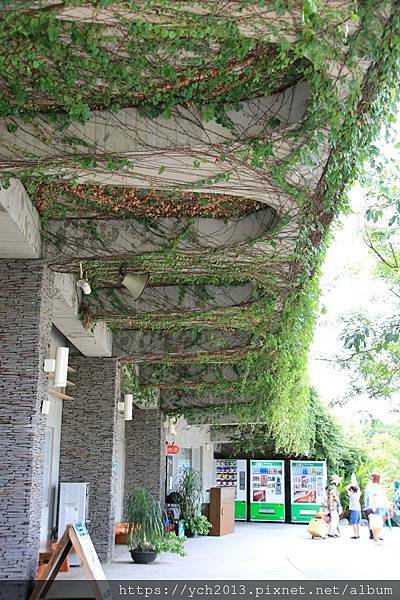 (7)林後泗林.JPG (7)林後泗林.JPG