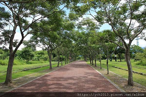 (30)林後泗林.JPG (30)林後泗林.JPG
