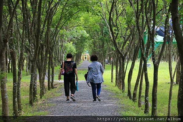 (20)林後泗林.JPG (20)林後泗林.JPG