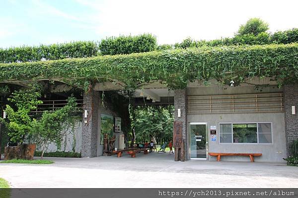 (6)林後泗林.JPG (6)林後泗林.JPG