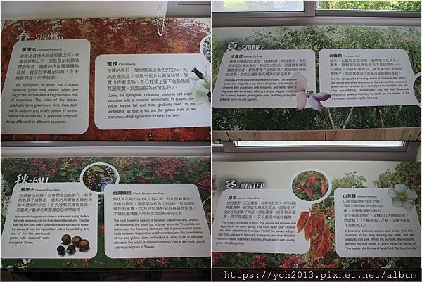 (10)林後泗林.jpg (10)林後泗林.jpg