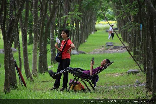 (22)林後泗林.JPG (22)林後泗林.JPG