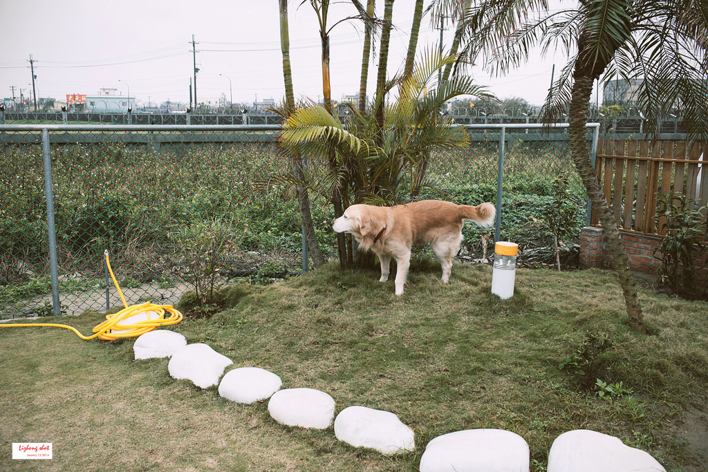 小狗的第三航廈咖啡野放 小狗的第三航廈咖啡野放