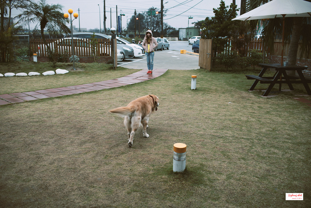 小狗的第三航廈咖啡野放 小狗的第三航廈咖啡野放