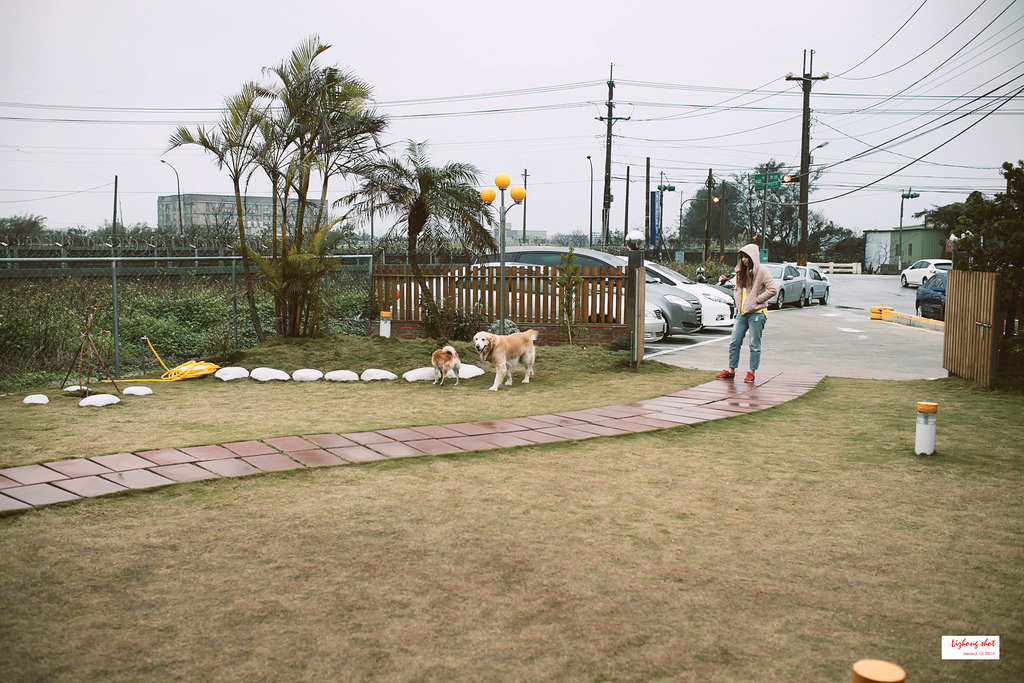 小狗的第三航廈咖啡野放 小狗的第三航廈咖啡野放