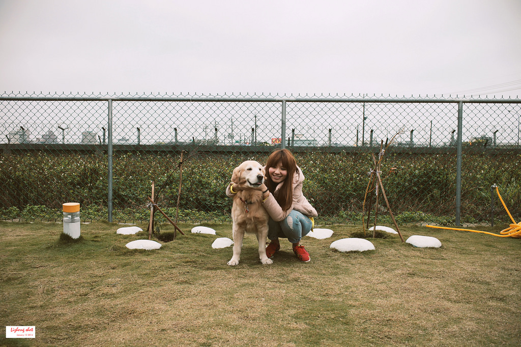 小狗的第三航廈咖啡野放 小狗的第三航廈咖啡野放