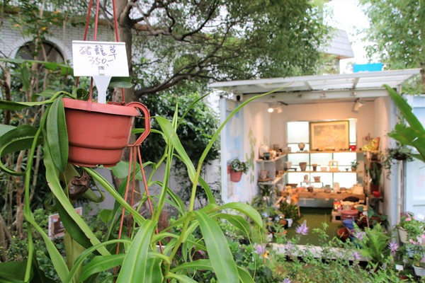 魔幻豆子主題館:【桃園大溪景點】魔幻豆子主題館~迎賓的花卉廊道,浪漫又繽紛,兒童F1賽車等小朋友鬥陣來嘗鮮囉