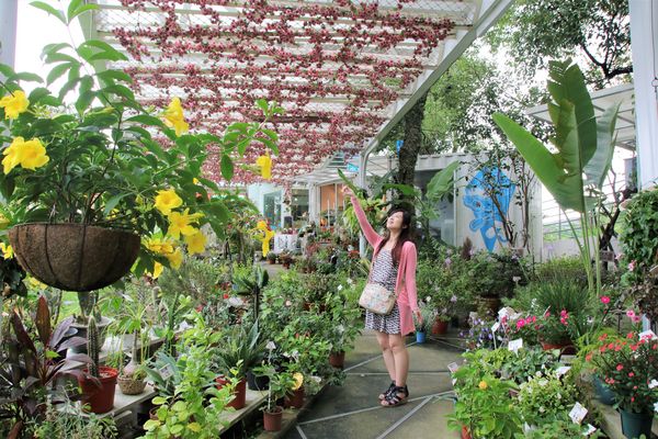 魔幻豆子主題館:【桃園大溪景點】魔幻豆子主題館~迎賓的花卉廊道,浪漫又繽紛,兒童F1賽車等小朋友鬥陣來嘗鮮囉