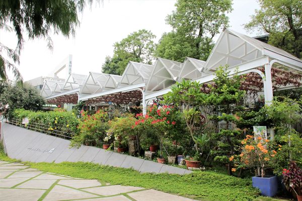 魔幻豆子主題館:【桃園大溪景點】魔幻豆子主題館~迎賓的花卉廊道,浪漫又繽紛,兒童F1賽車等小朋友鬥陣來嘗鮮囉