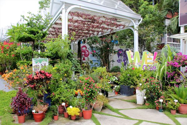 魔幻豆子主題館:【桃園大溪景點】魔幻豆子主題館~迎賓的花卉廊道,浪漫又繽紛,兒童F1賽車等小朋友鬥陣來嘗鮮囉