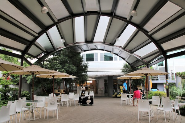 魔幻豆子主題館:【桃園大溪景點】魔幻豆子主題館~迎賓的花卉廊道,浪漫又繽紛,兒童F1賽車等小朋友鬥陣來嘗鮮囉