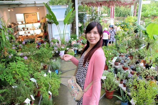 魔幻豆子主題館:【桃園大溪景點】魔幻豆子主題館~迎賓的花卉廊道,浪漫又繽紛,兒童F1賽車等小朋友鬥陣來嘗鮮囉