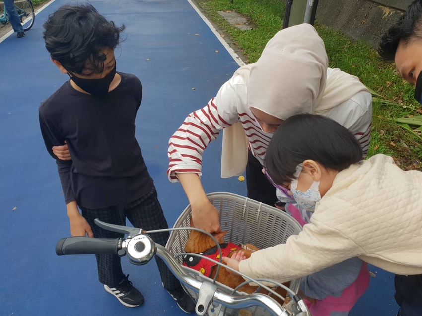 【新北.福隆】舊草嶺隧道騎自行車。草嶺之旅自行車行租車。漫遊無敵海景自行車道