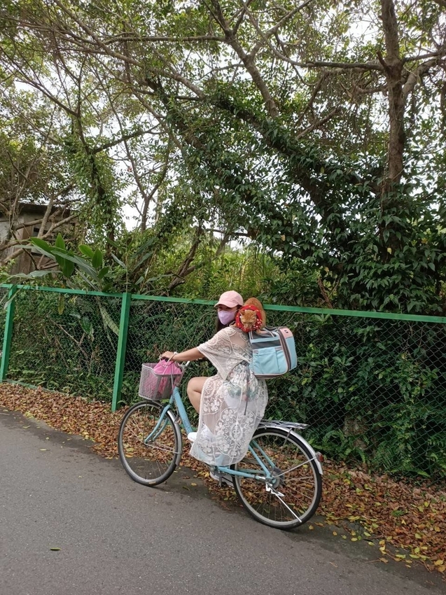【新北.福隆】舊草嶺隧道騎自行車。草嶺之旅自行車行租車。漫遊無敵海景自行車道