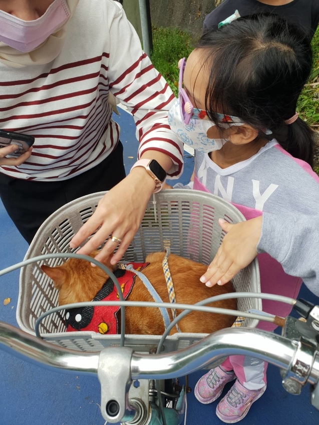 【新北.福隆】舊草嶺隧道騎自行車。草嶺之旅自行車行租車。漫遊無敵海景自行車道