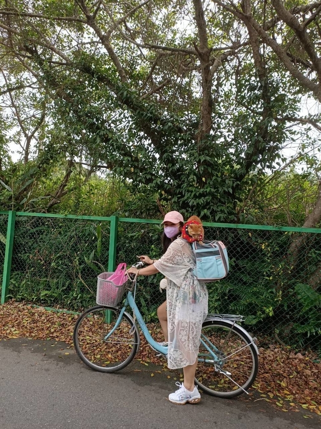 【新北.福隆】舊草嶺隧道騎自行車。草嶺之旅自行車行租車。漫遊無敵海景自行車道