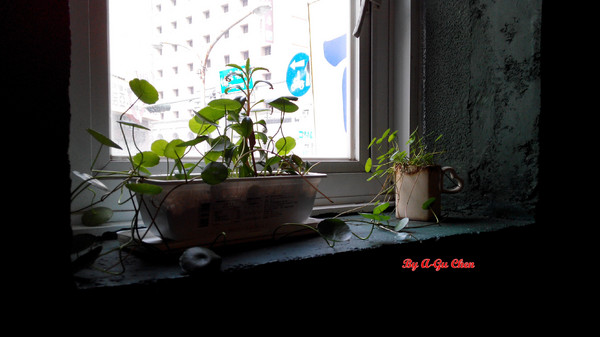 卡加米亞咖啡:【臺南Ω中西區】卡加米亞咖啡。在怎麼拍都很文青的老屋中享用美味早午餐與手作甜點 卡加米亞咖啡:【臺南Ω中西區】卡加米亞咖啡。在怎麼拍都很文青的老屋中享用美味早午餐與手作甜點