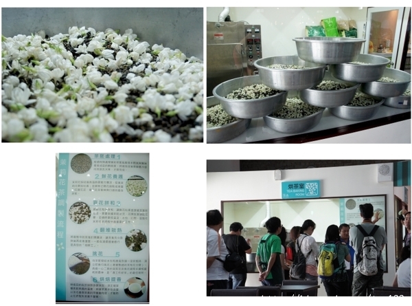 茉莉花故鄉一日幸福遊