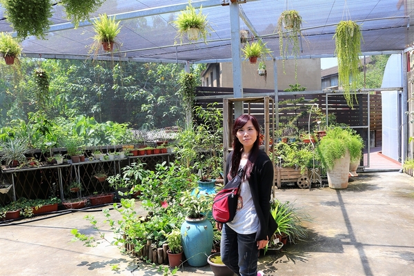 茉莉花壇夢想館:【彰化花壇景點】茉莉花壇夢想館~五彩繽紛彩色屋,秘密花園,彩虹風車廊道,許願鐘及愛情造景拍不停