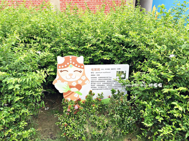【彰化 花壇】茉莉花壇夢想館🌼🌼🌼舊穀倉改建而成的繽紛觀光景點,適合親子遊,一同感受茉莉芬芳,腹地不大,免門票,建議安排其他順遊景點