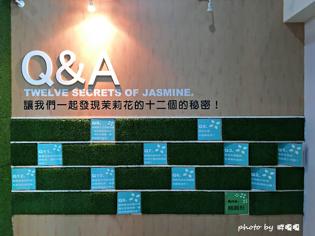 【彰化 花壇】茉莉花壇夢想館🌼🌼🌼舊穀倉改建而成的繽紛觀光景點,適合親子遊,一同感受茉莉芬芳,腹地不大,免門票,建議安排其他順遊景點