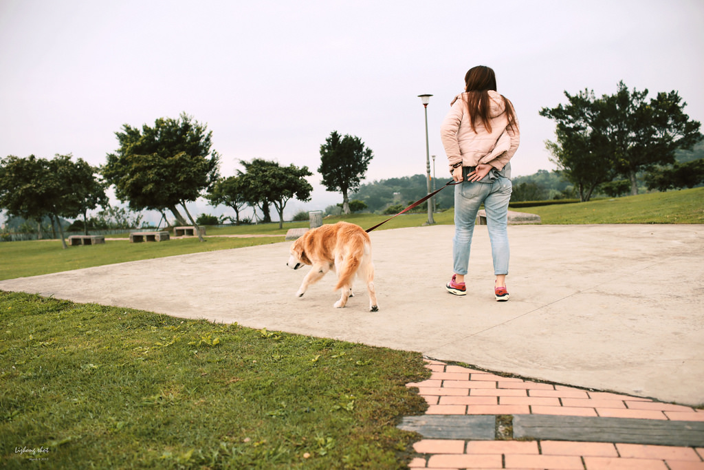 三月夏天的簡短摘要