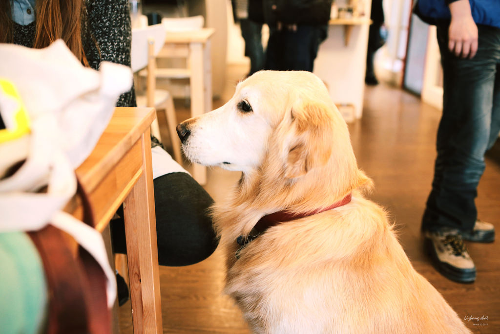 三月夏天的簡短摘要