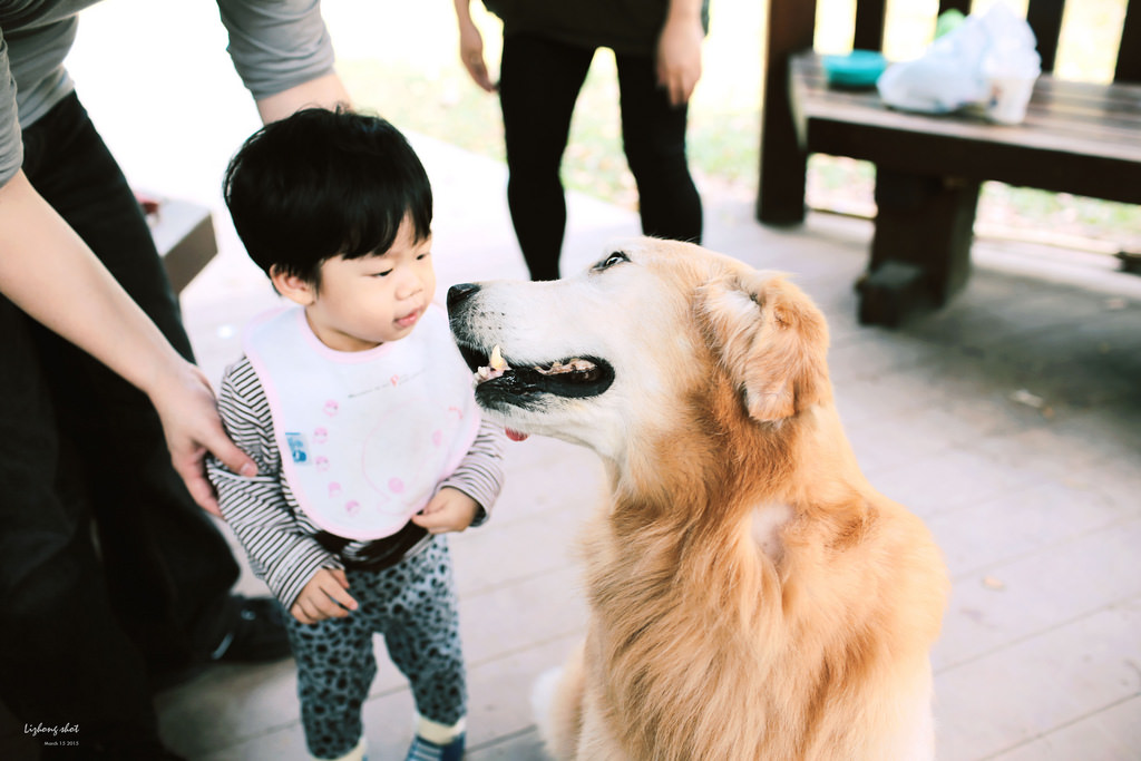 三月夏天的簡短摘要