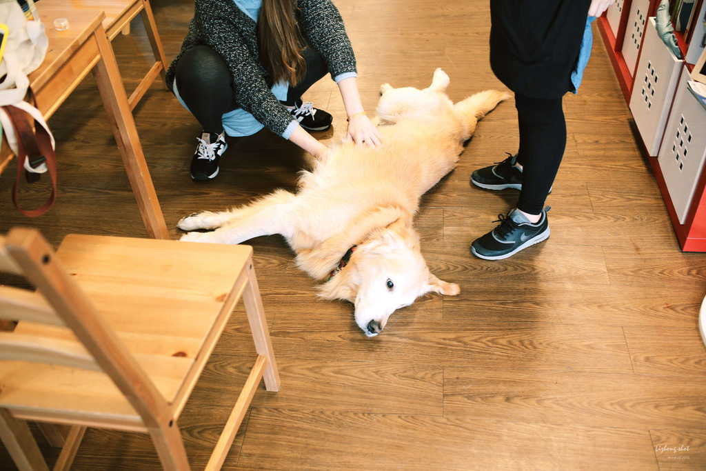 三月夏天的簡短摘要