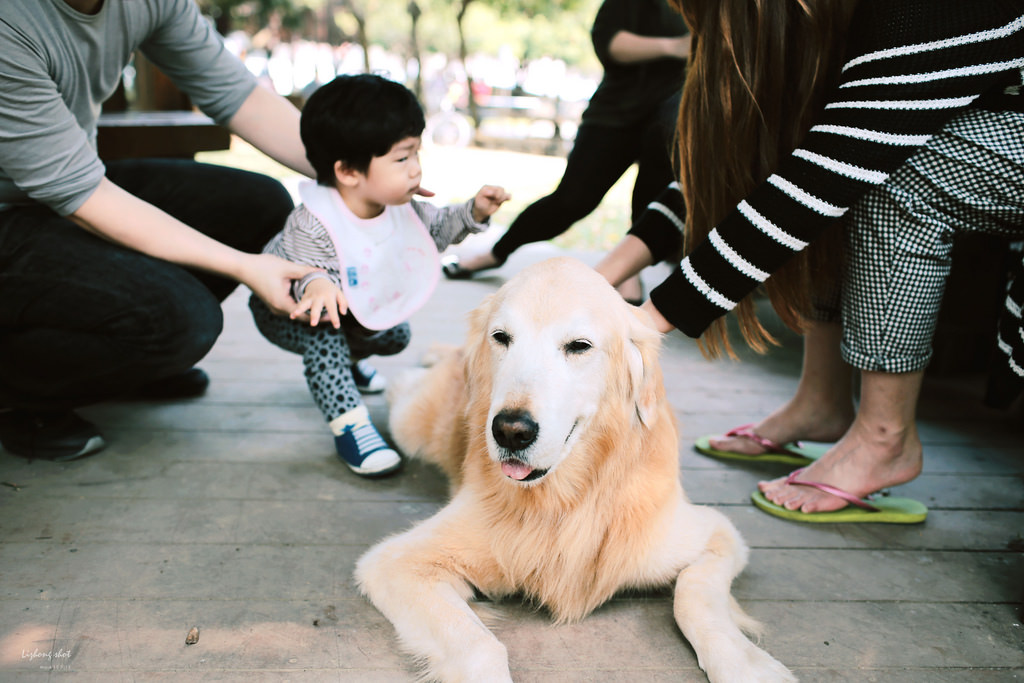 三月夏天的簡短摘要