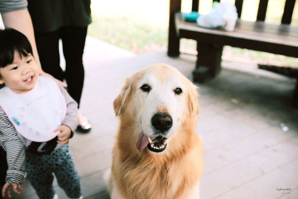 三月夏天的簡短摘要