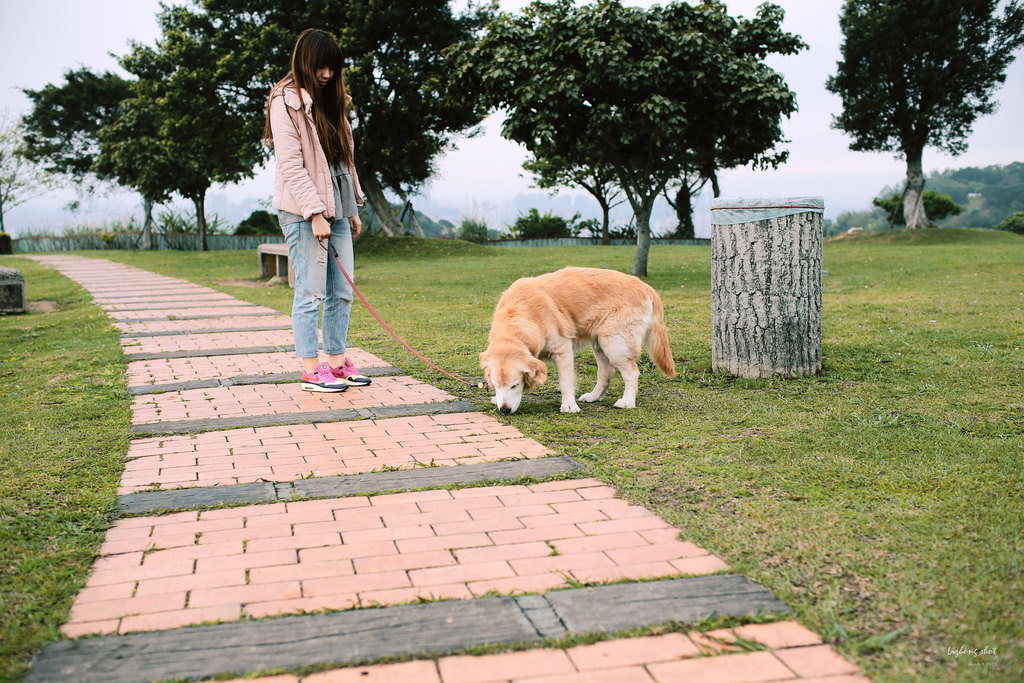 三月夏天的簡短摘要