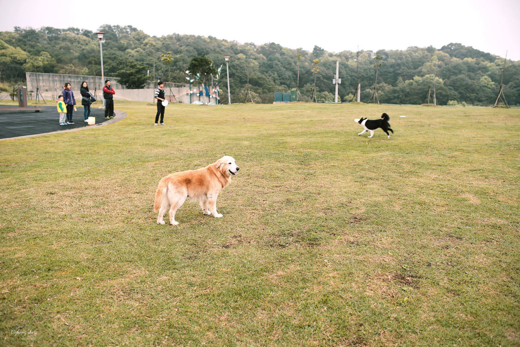 三月夏天的簡短摘要