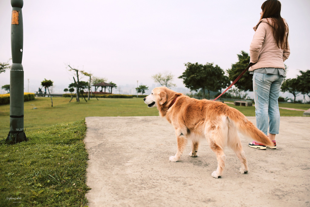 三月夏天的簡短摘要