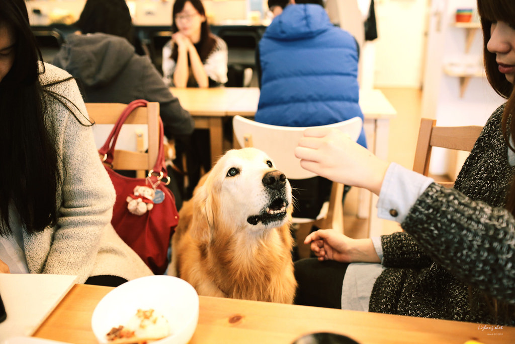 三月夏天的簡短摘要
