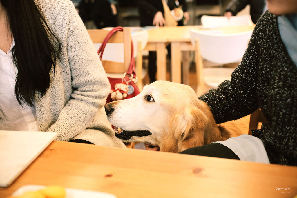 三月夏天的簡短摘要