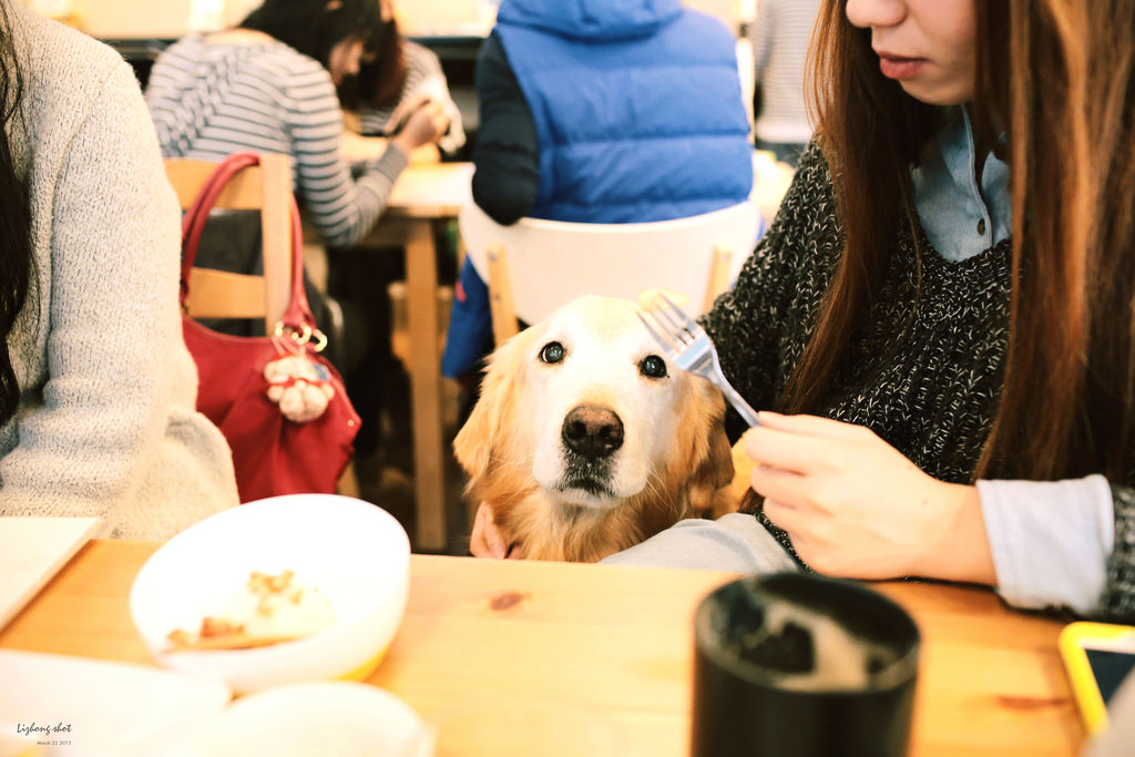 三月夏天的簡短摘要