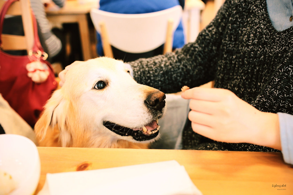三月夏天的簡短摘要