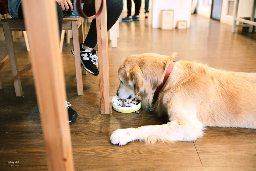 三月夏天的簡短摘要