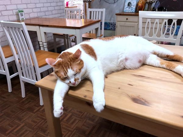 double like (6).JPG double like (6).JPG