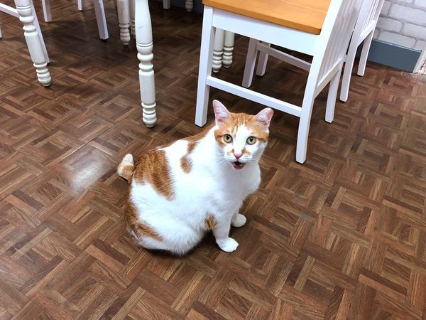 double like (4).JPG double like (4).JPG