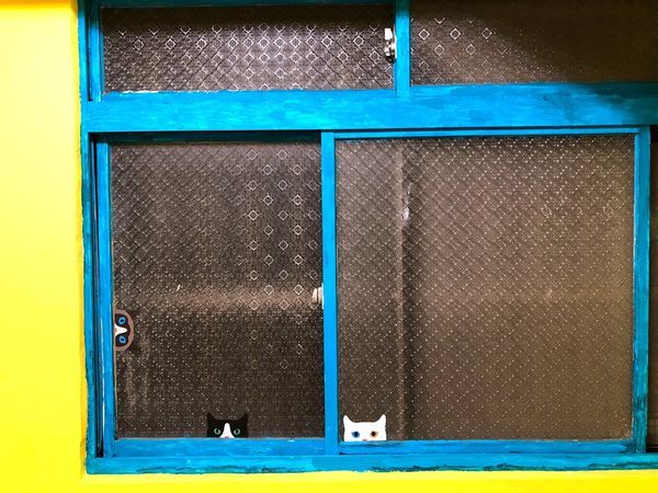 double like (26).JPG double like (26).JPG