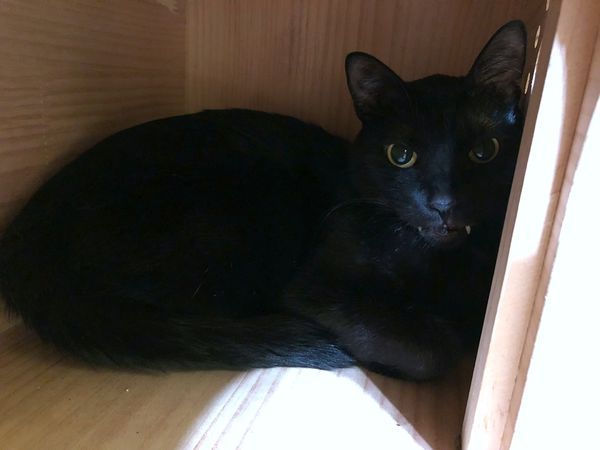 double like (30).JPG double like (30).JPG