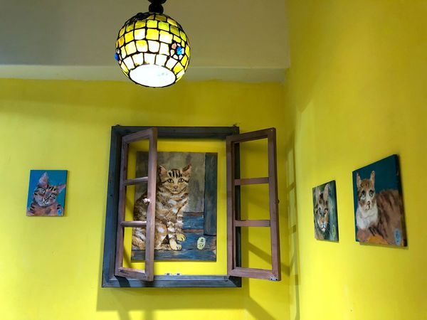 double like (13).JPG double like (13).JPG