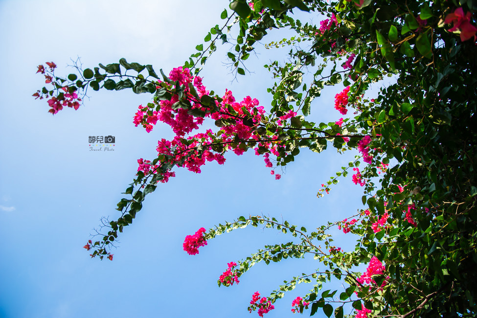 ｜高雄景點｜曹公圳生態公園，漫步河邊沿途欣賞鳳山縣城周邊景色 - 阿婷的旅行札記。